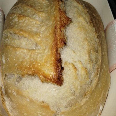 Crusty Sourdough Loaf