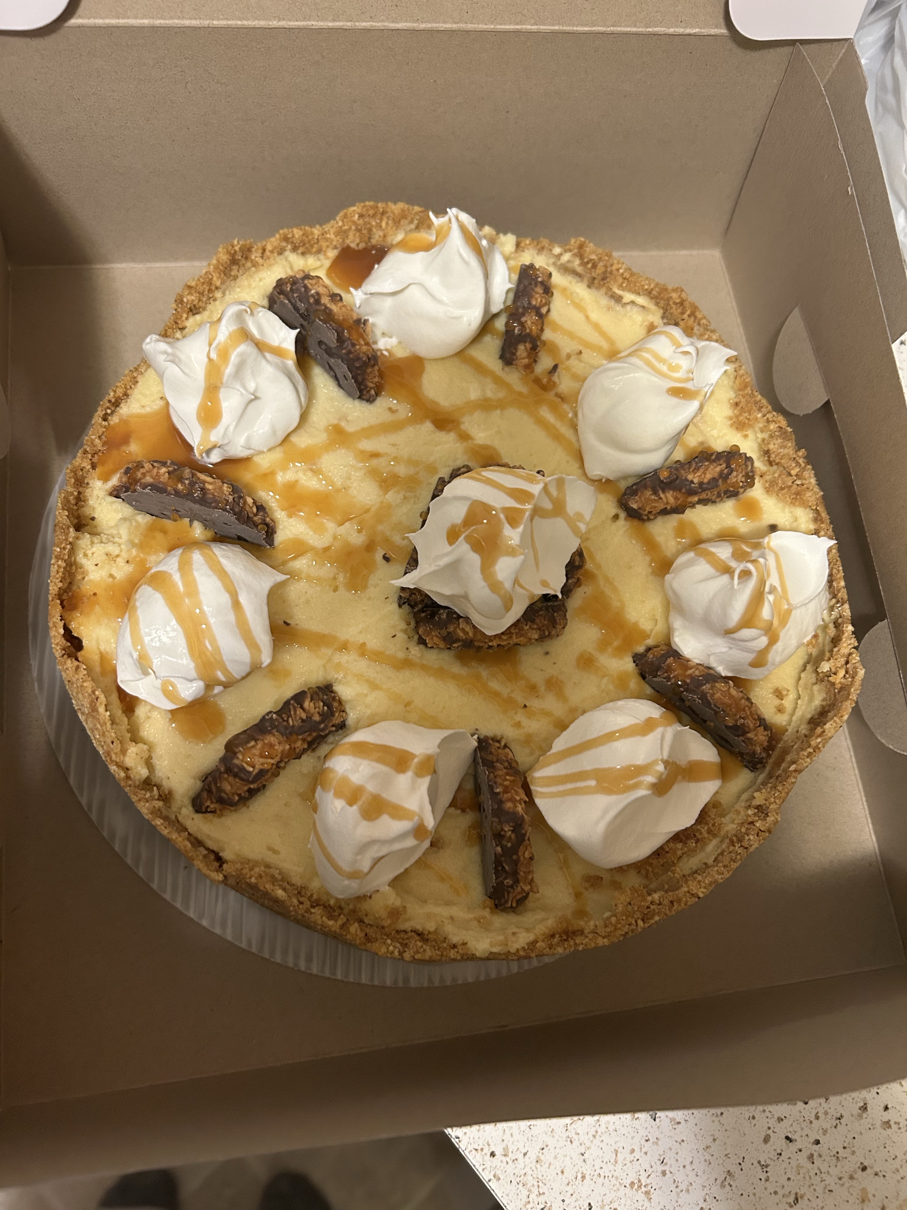 Large Samosa Cheesecake