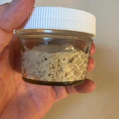 Bubbly ripe sourdough starter