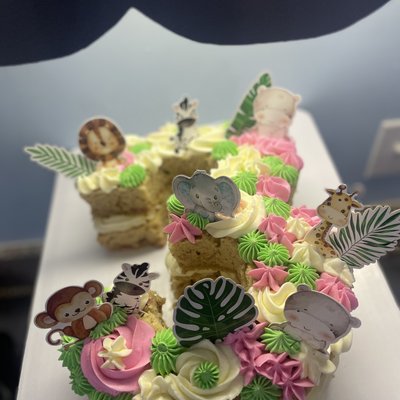Number/Letter Cake