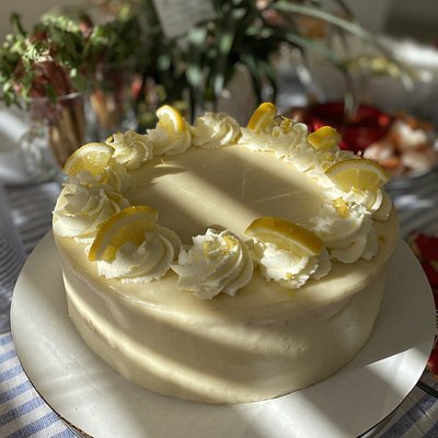 Simple Cake (no design)