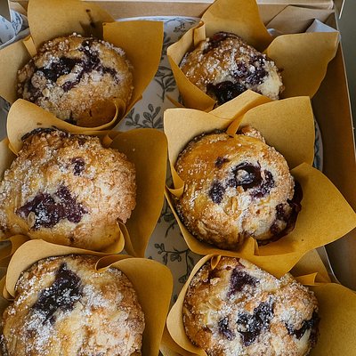 Blueberry Muffins Box