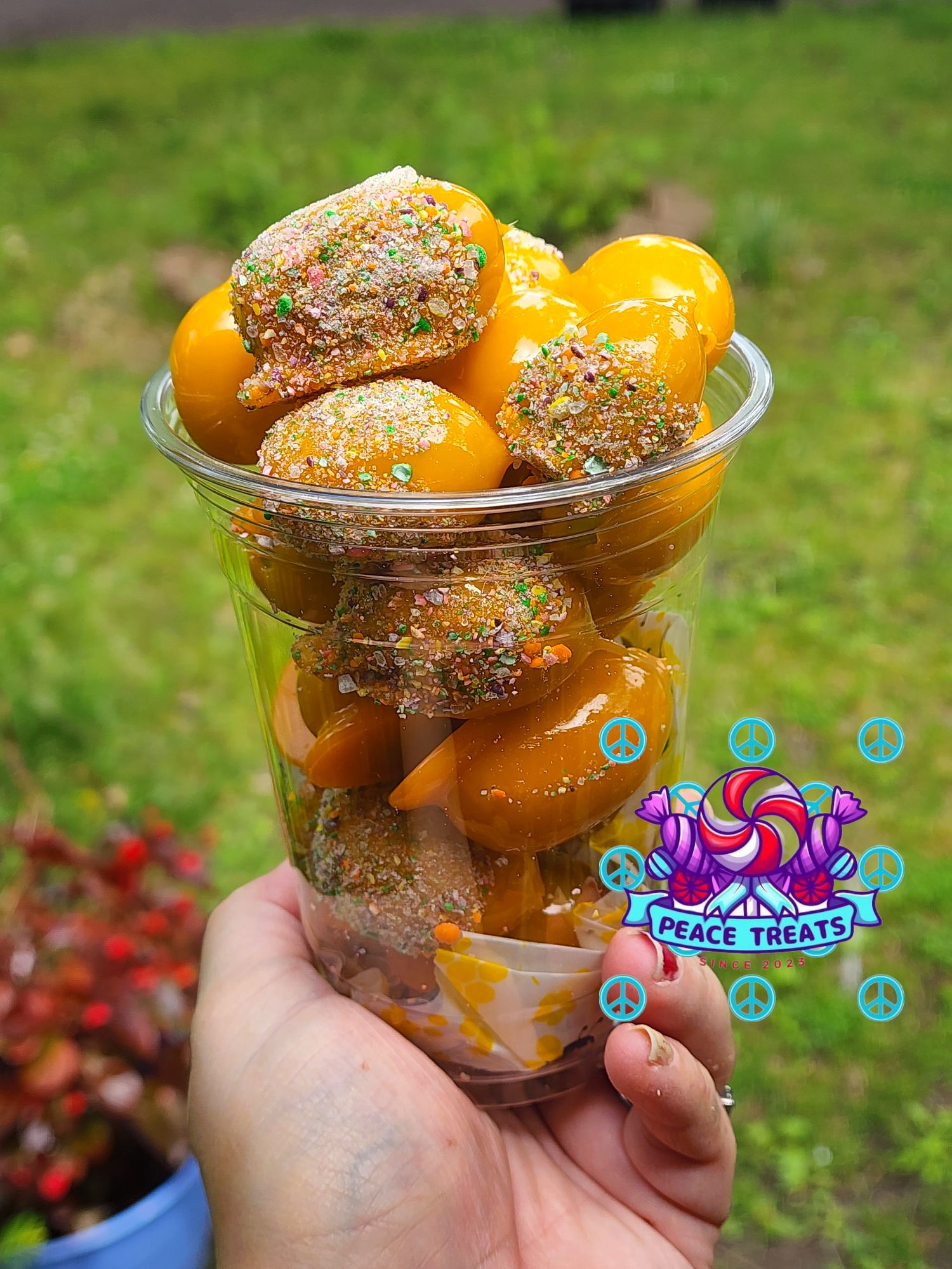 Large Bucket Grapes-16oz Container