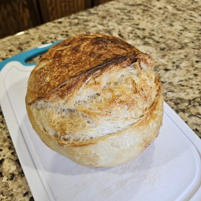 Plain Sourdough 