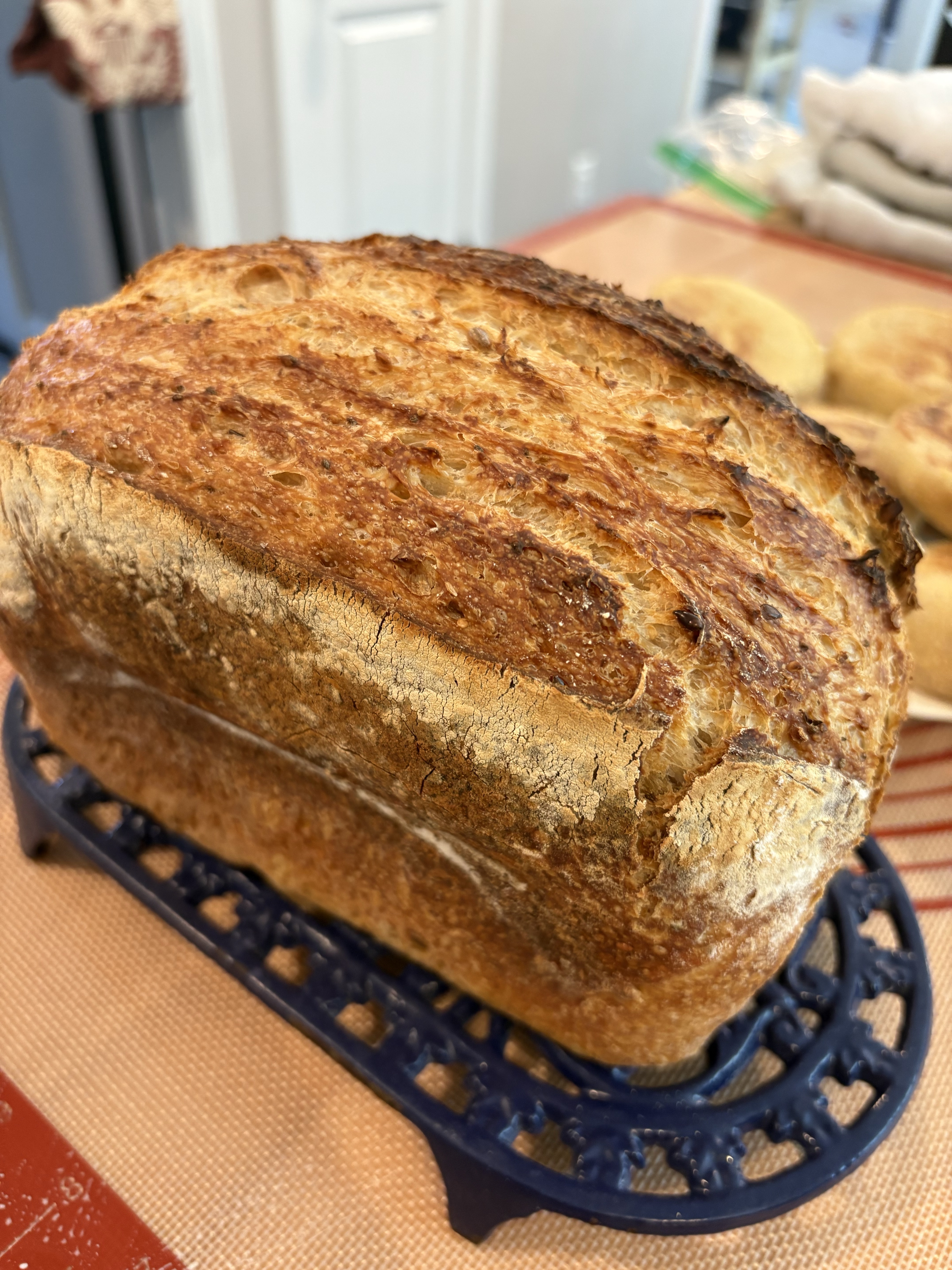 Family Friendly Sourdough Sandwhich Loaf