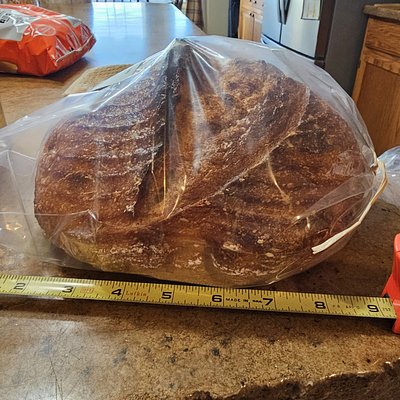 Sourdough Boule Or Dinner Rolls