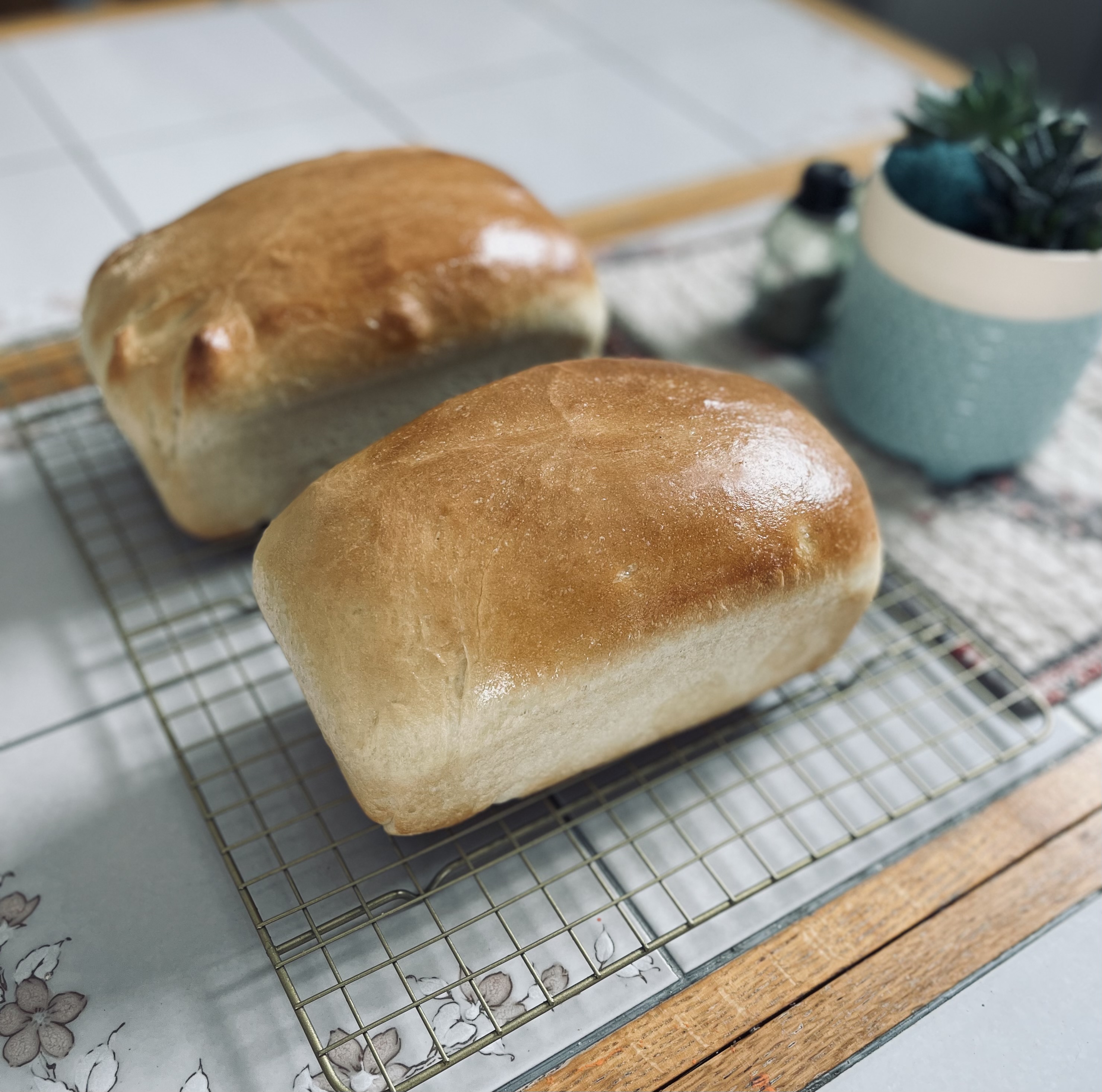 Sandwich Bread (1 Loaf)