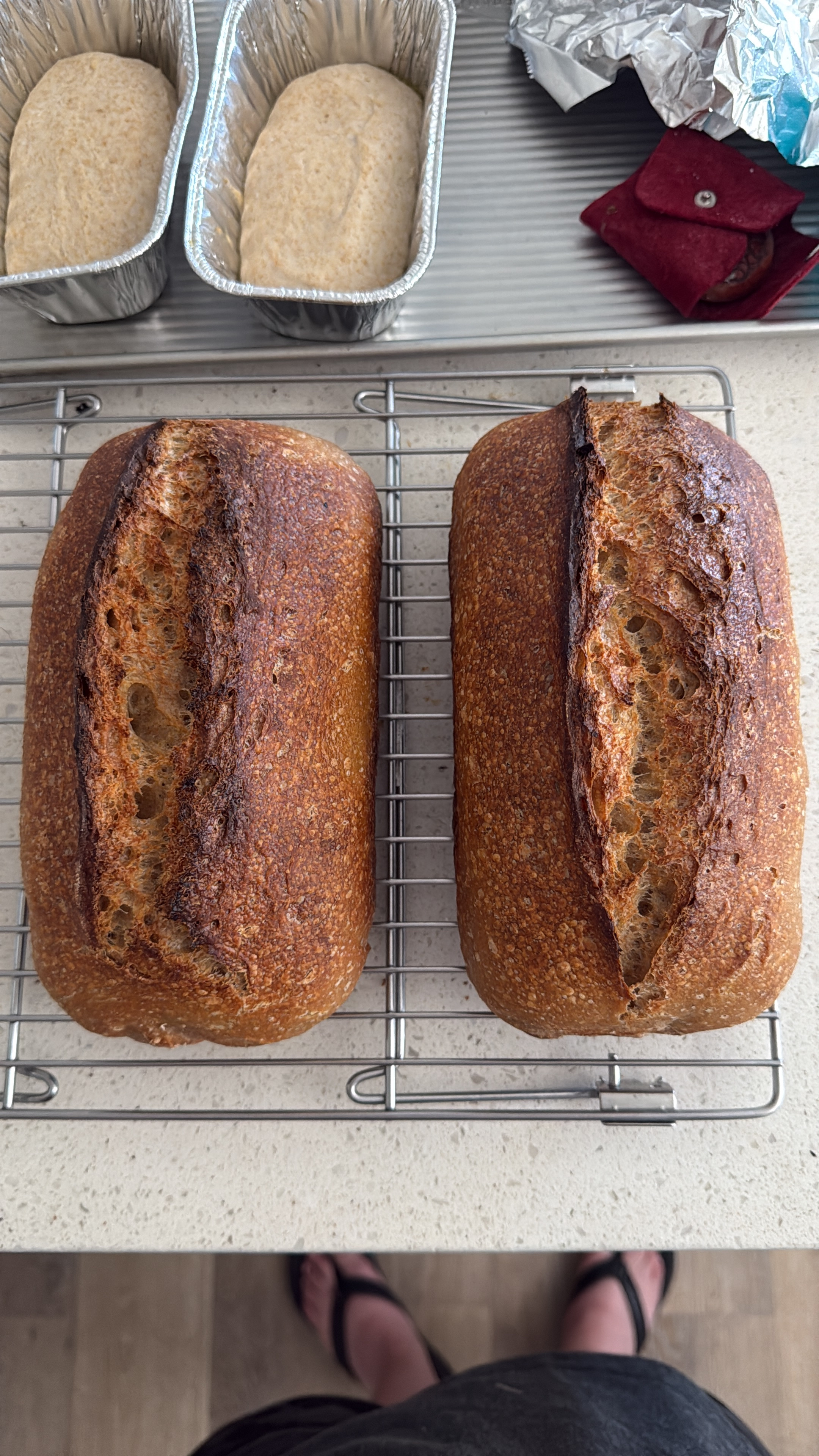 Plain Sourdough