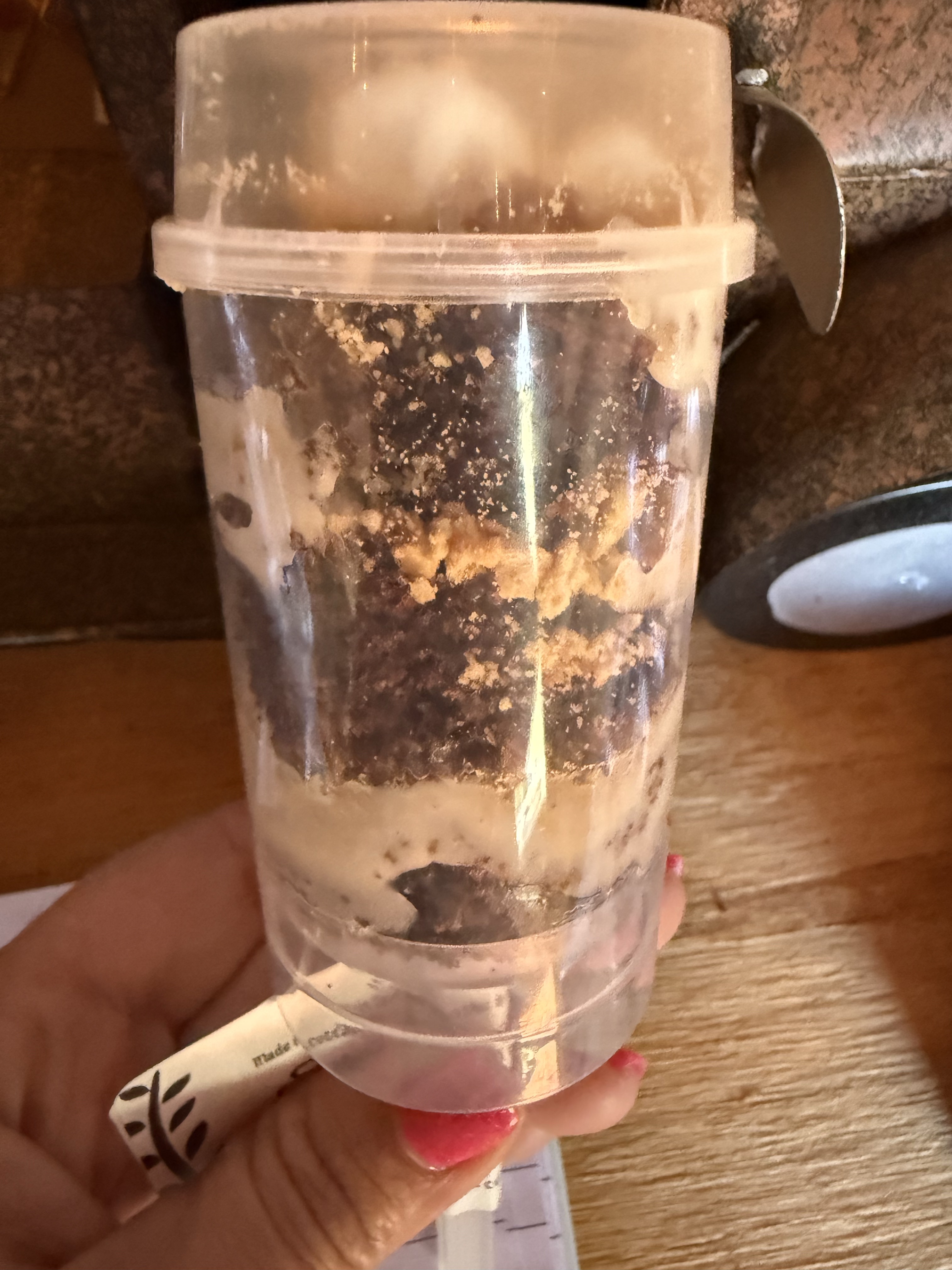 S’mores Pop