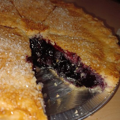 Double Crusted Blueberry Pie