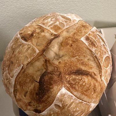 Caramelized Onion Sourdough Boule 