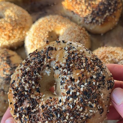 Everything Bagel (8)