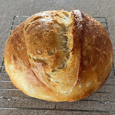 Original Sourdough Bread