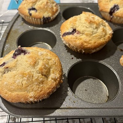 Cranberry Orange Muffin 