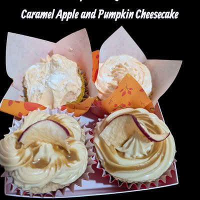 Apple Or Pumpkin Pupcake