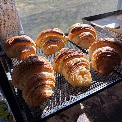 Jumbo Croissants - Plain (4 or 6) 