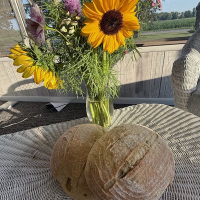 Plain Sourdough (small)