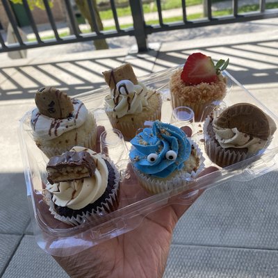 Gourmet  Cupcakes 