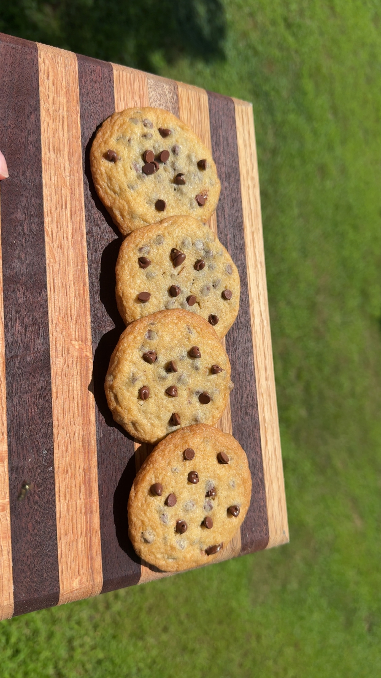 Half Dozen Of Chocolate Chip Cookies 