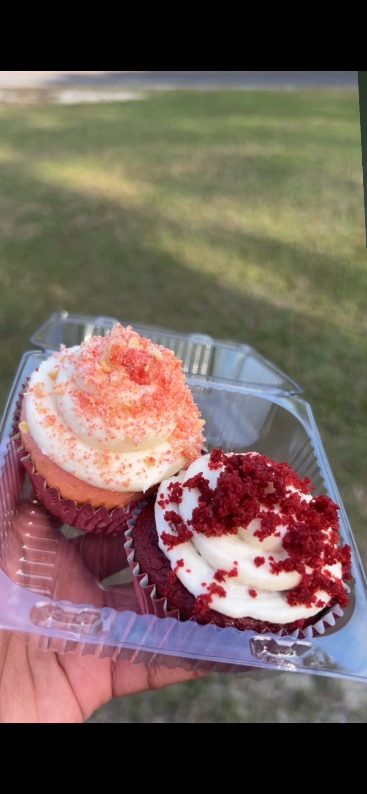 Cupcakes
