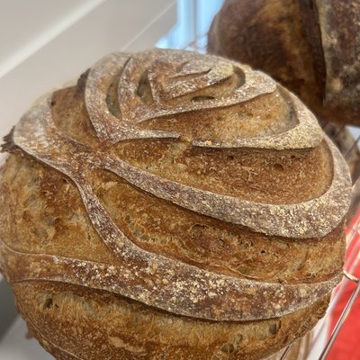 Artisan Whole Wheat Sourdough Loaf 