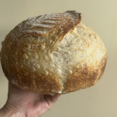 “Sedona Crust” Classic Sourdough Boule 