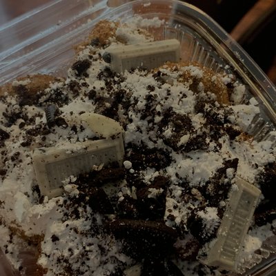 Fried Oreos