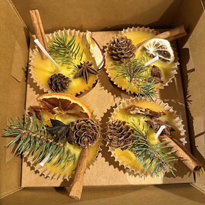 Beeswax Fire Starters (4)