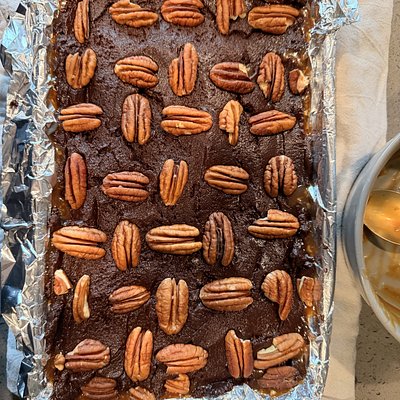 Turtle Brownie