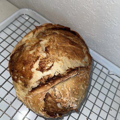 Cinnamon Sugar Sourdough