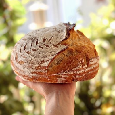 Organic Sourdough Boule 