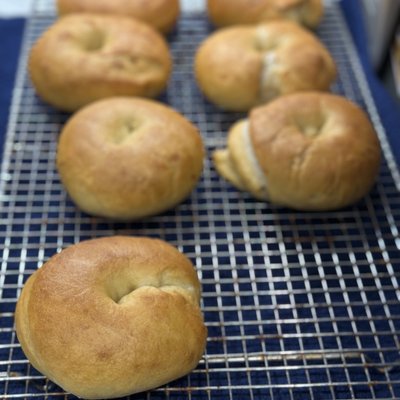 Sourdough Bagels