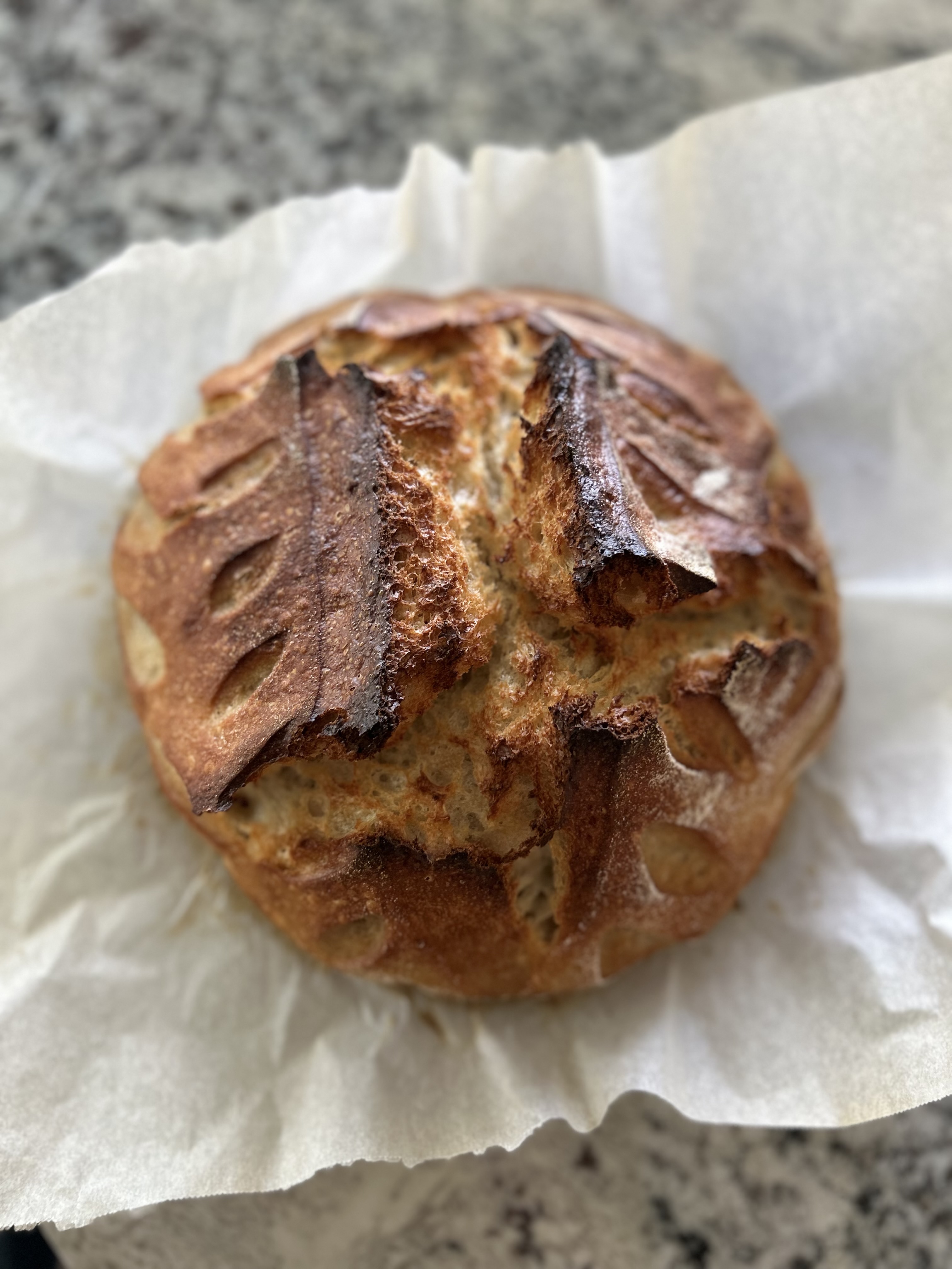 Classic Sourdough Loaf