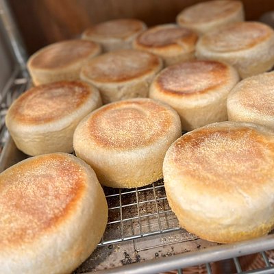 Sourdough English Muffins