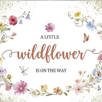  Wildflower 4 Count Cookie Gift Box For Parent(s) To Be