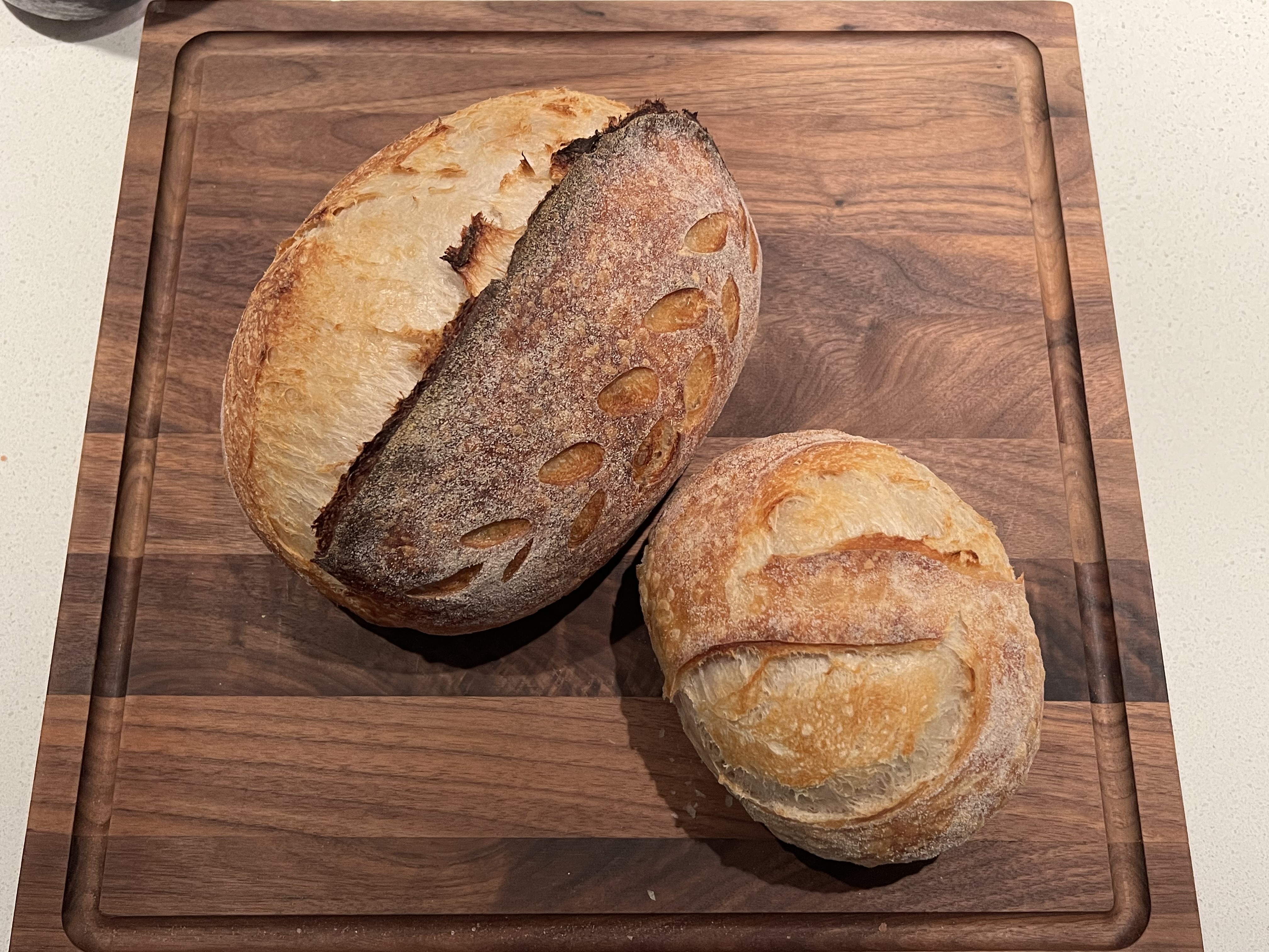 Sourdough Mini