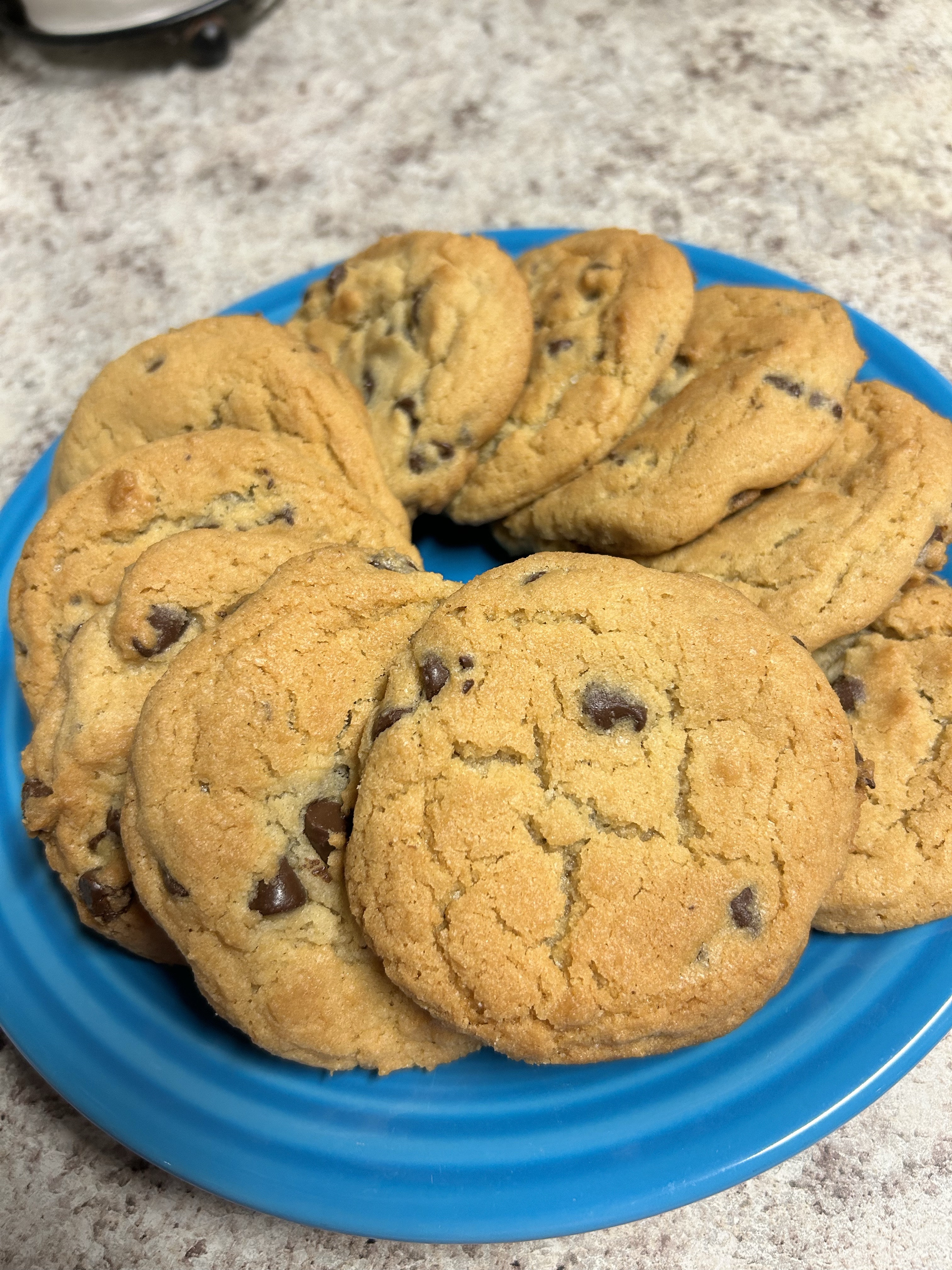 Ultimate Chocolate Chip 