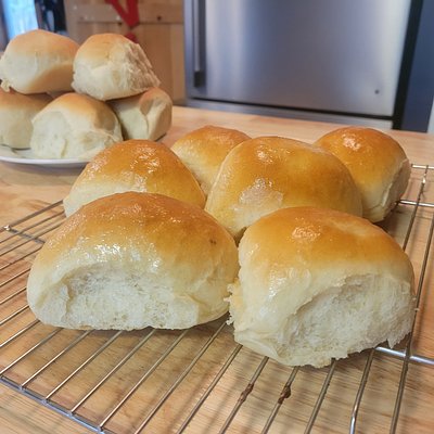 Dinner Rolls