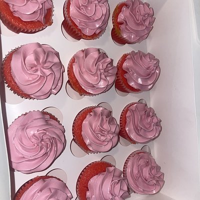 Dozen Cupcakes 