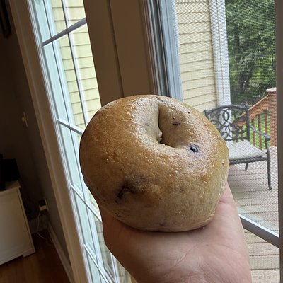 6 Blueberry Sourdough Bagels 