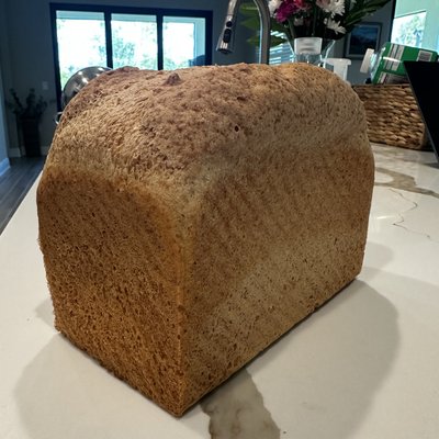 Sandwich Bread
