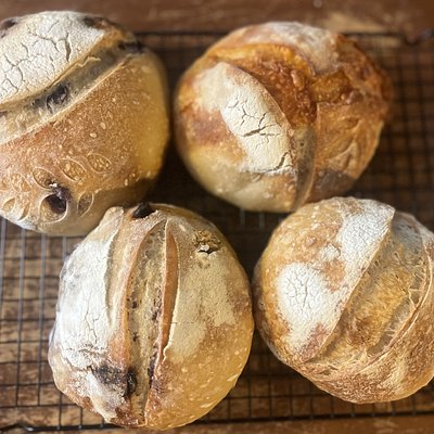 Sourdough Flight Box