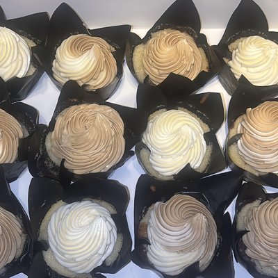 12 Pack Cupcakes