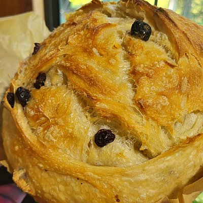 Orange Cranberry Sourdough