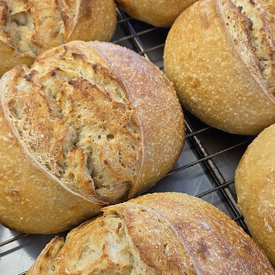 Rosemary Cranberry Holiday Sourdough Loaf 