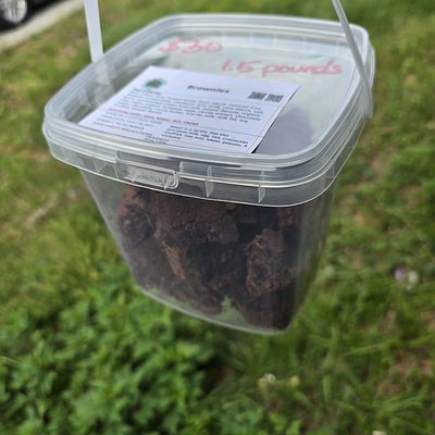 Bucket Of Brownie Bites 