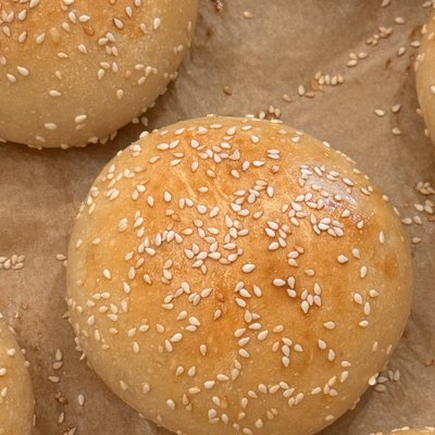 Sourdough Hamburger Buns (6)