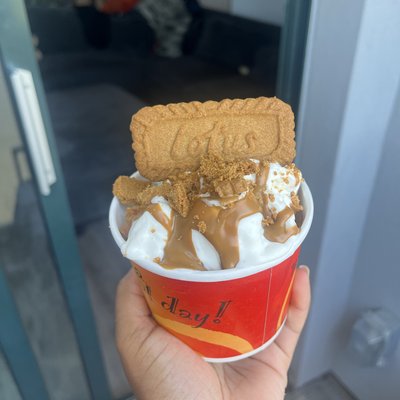 Pint Of Ice Cream