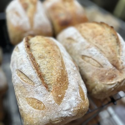 Cheddar Cheese Sourdough