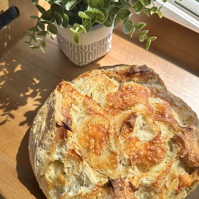 Italian Herb And Cheese 